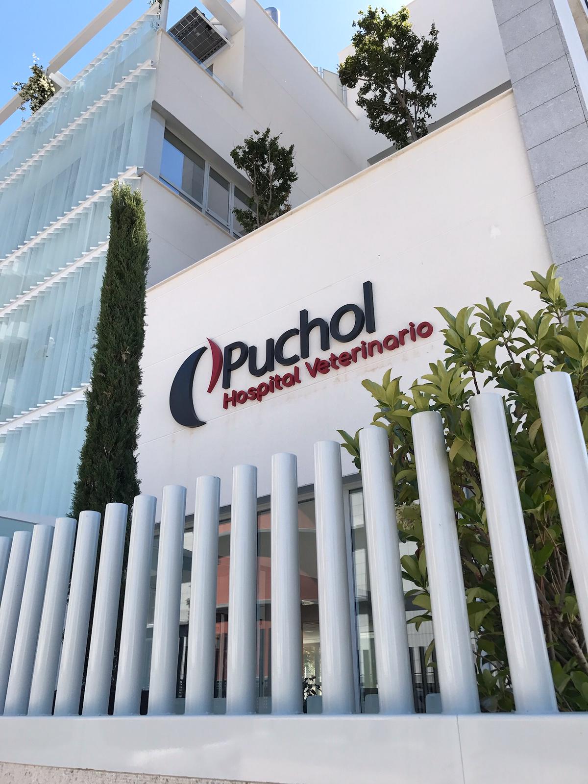 puchol portada (1)