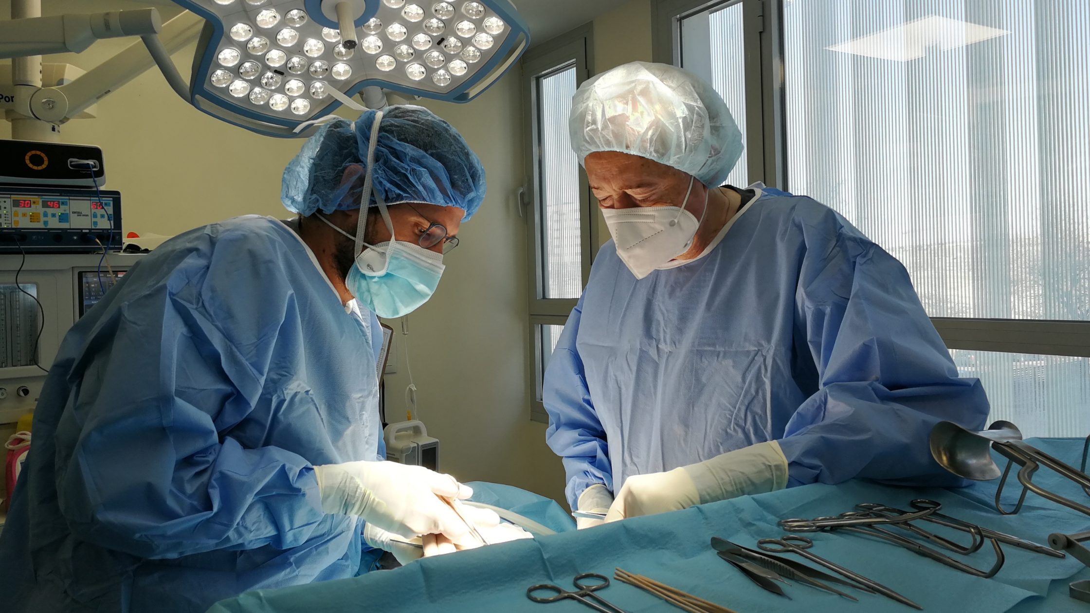 Imagen: Cirujanos veterinarios en intervención quirúrgica abdominal