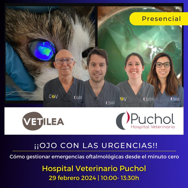 ¡¡Ojo con las urgencias!! Cómo gestionar emergencias oftalmológicas desde el minuto cero