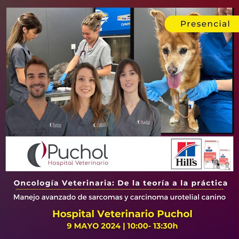 Oncología Veterinaria: De la teoría a la práctica - Manejo avanzado de sarcomas y carcinoma urotelial canino
