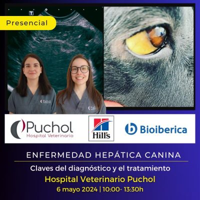 Enfermedad hepática canina: Diagnóstico y tratamiento - Formación