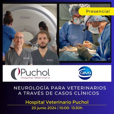 Neurología para veterinarios a través de casos clínicos - Formación