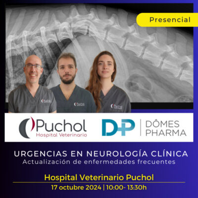 Urgencias en Neurología Clínica: Actualización de Enfermedades Frecuente