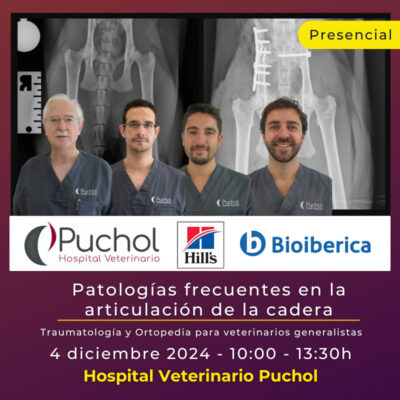 Patologías frecuentes en la articulación de la cadera: Traumatología y Ortopedia