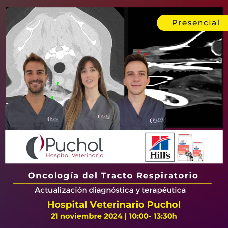 Oncología del Tracto Respiratorio: Actualización diagnóstica y terapéutica