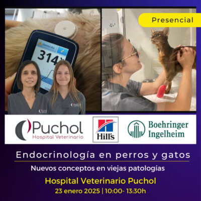 EndocrinologĆa en perros y gatos: Nuevos conceptos en viejas patologĆas