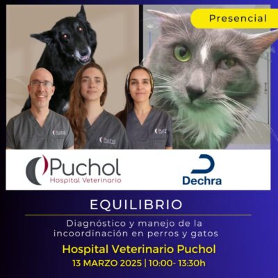 EQUILIBRIO: Diagnóstico y manejo de la incoordinación en perros y gatos