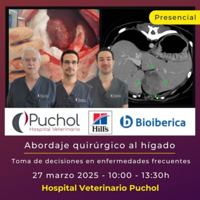 Abordaje quirúrgico al hígado: Toma de decisiones en enfermedades frecuentes.