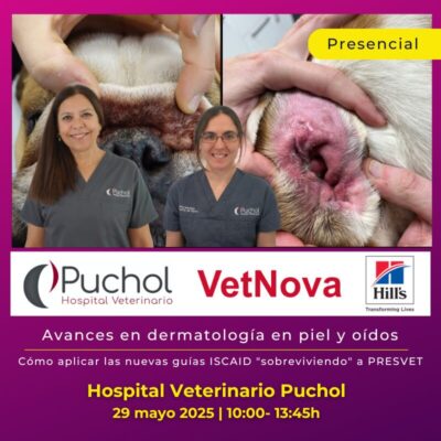 Avances en dermatología en piel y oídos: cómo aplicar las nuevas guías ISCAID "sobreviviendo" a PRESVET