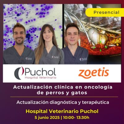 Actualización clínica en oncología de perros y gatos. Formación