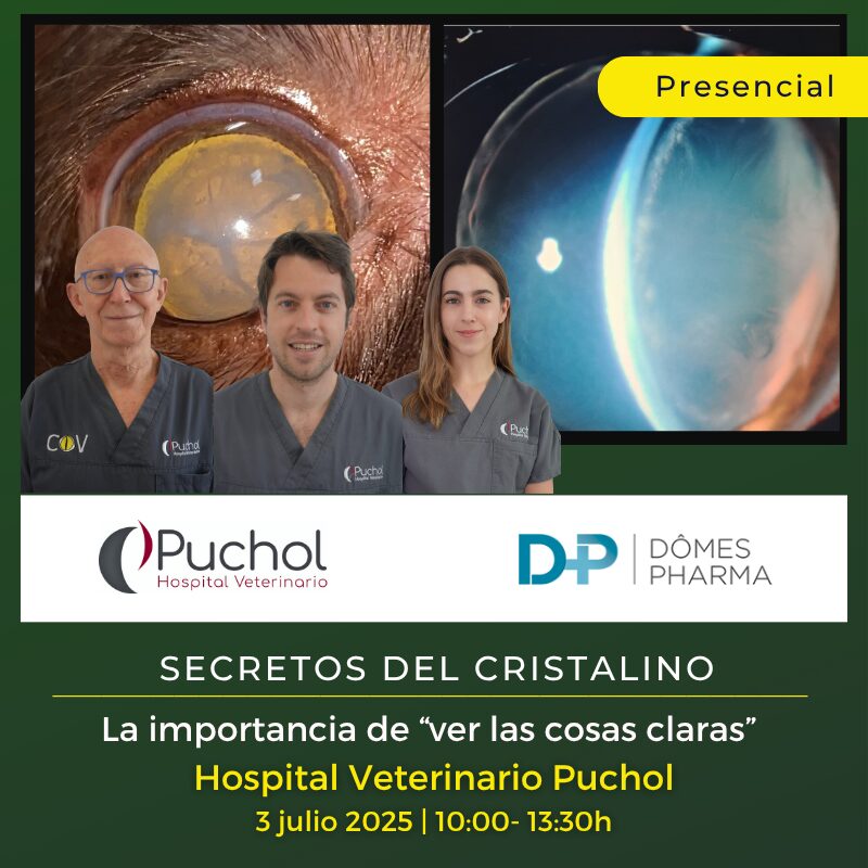 Secretos del cristalino: La importancia de “ver las cosas claras”