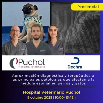 Aproximación diagnóstica y terapéutica a las principales patologías que afectan a la médula espinal en perros y gatos