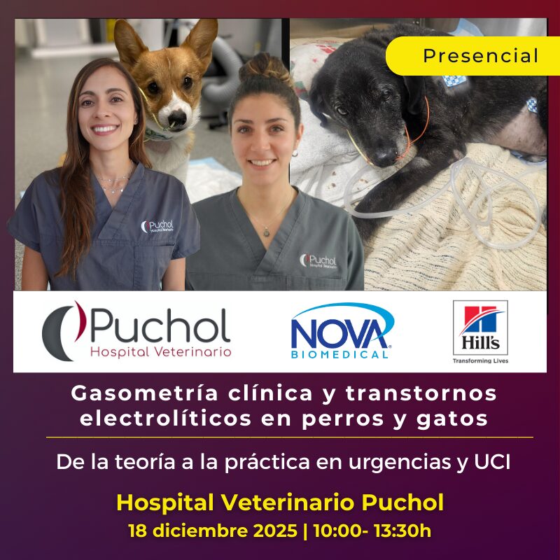 Gasometría clínica y transtornos electrolíticos en perros y gatos (Formación)