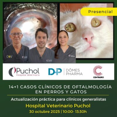 14+1 casos clínicos de oftalmología en perros y gatos. Formación