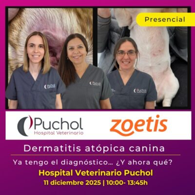 Dermatitis atópica canina: ya tengo el diagnóstico… ¿y ahora qué? - FORMACIÓN