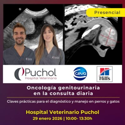 Oncología genitourinaria en la consulta diaria. Claves prácticas para el diagnóstico y manejo en perros y gatos
