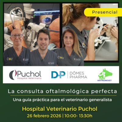 La consulta oftalmológica perfecta. Una guía práctica para el veterinario generalista