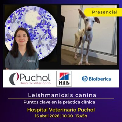 Leishmaniosis canina: puntos clave en la práctica clínica.