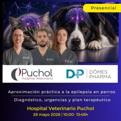 Aproximación práctica a la epilepsia en perros: diagnóstico, urgencias y plan terapéutico