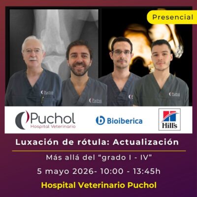 Luxación de rótula. Actualización. Más allá del “grado I - IV” (Formación)