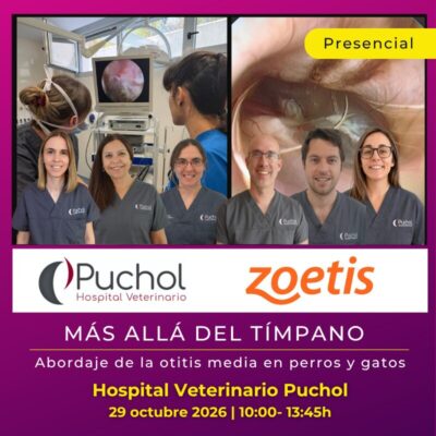  MÁS ALLÁ DEL TÍMPANO: Abordaje de la otitis media en perros y gatos - FORMACIÓN