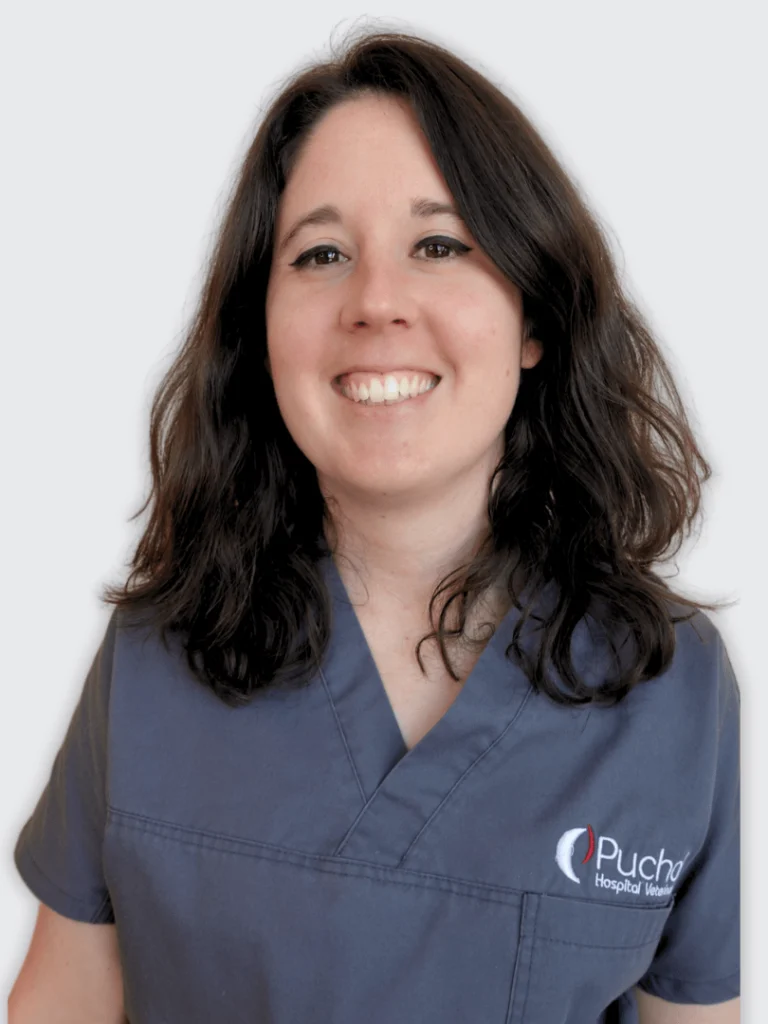 Miriam Caro oftalmologia veterinaria