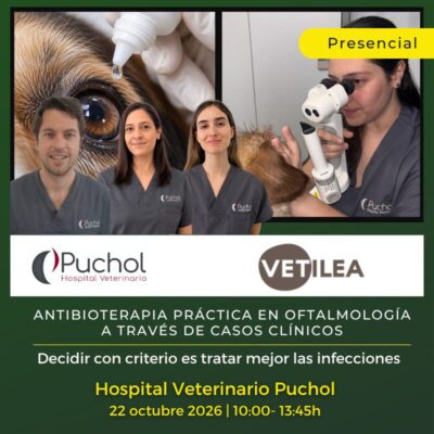 Antibioterapia práctica en oftalmología a través de casos clínicos. Formación